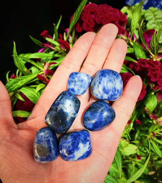 Tumbled Sodalite Crystal